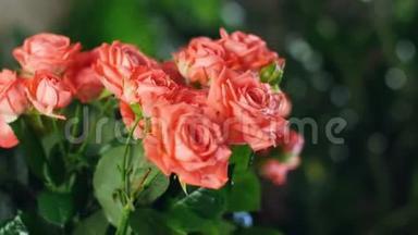 特写，花束在<strong>光线</strong>的<strong>照射</strong>下，旋转，花的组成由橙色玫瑰组成.. 神圣的美